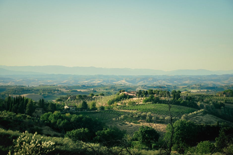 Picturesque view of Tuscany's rolling hills, vineyards, and Italian villas under a clear summer sky.