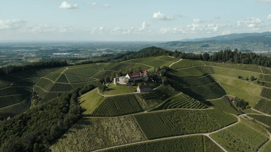 Drone shot of Schloss Staufenberg amidst lush vineyards in Offenburg, Germany.